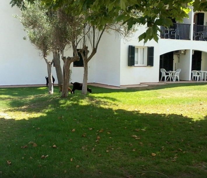 Seth Sa Mirada Aparthotel Arenal d'en Castell Luaran gambar